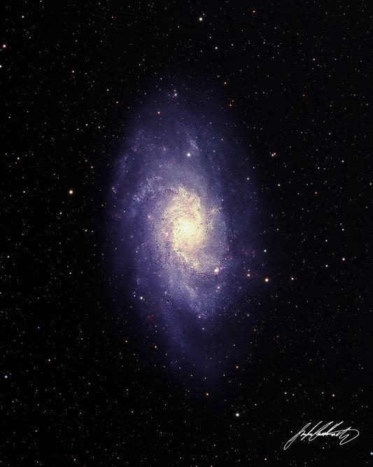 The Triangulum Galaxy